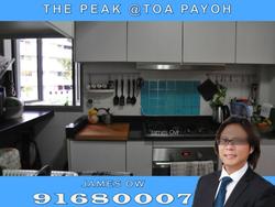 Blk 138B The Peak @ Toa Payoh (Toa Payoh), HDB 5 Rooms #143359412